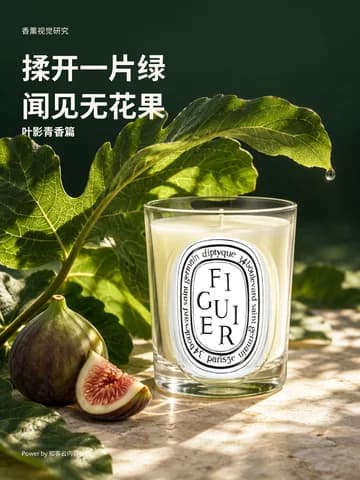 无花果与绿意封面